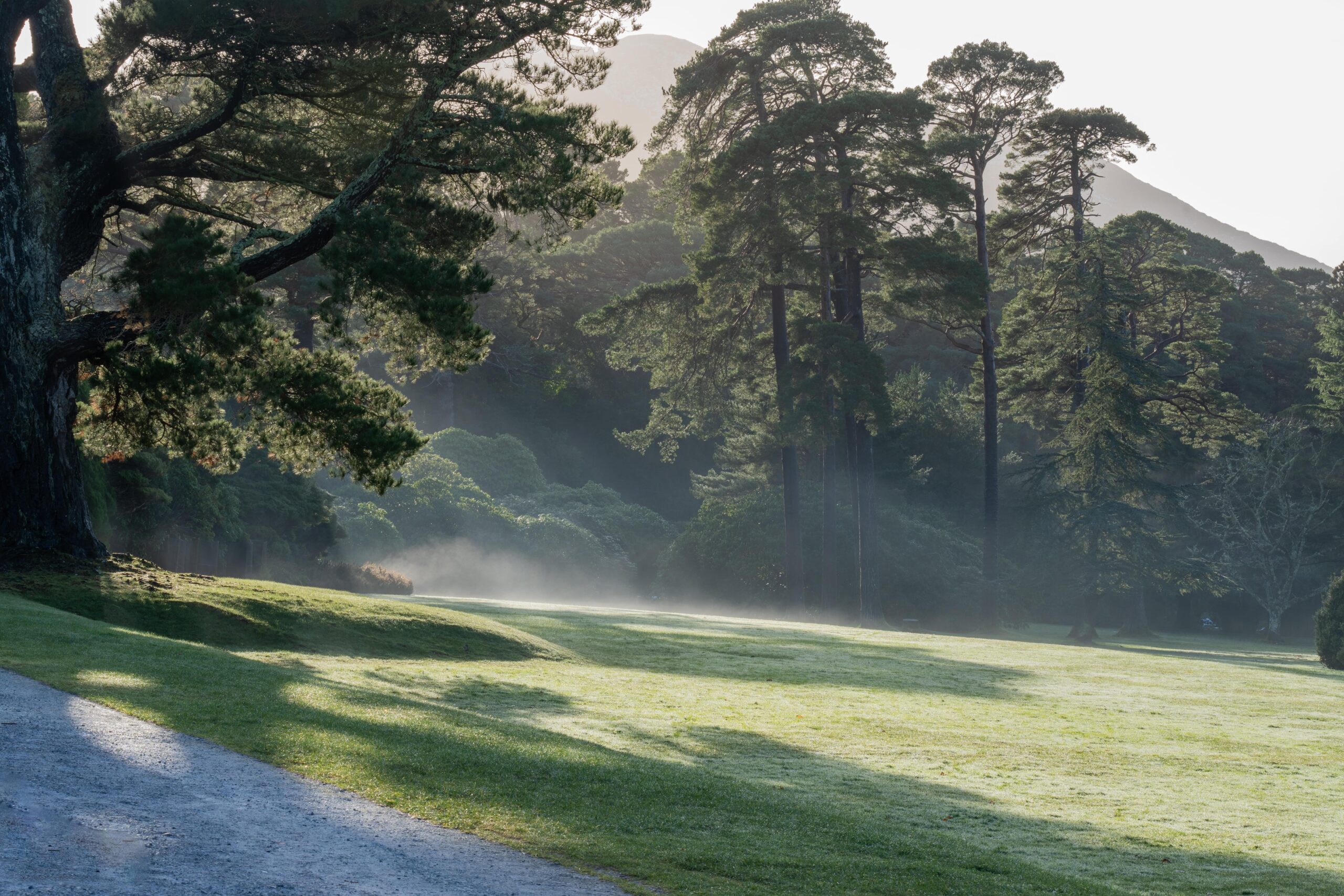 Killarney National Park near The Véro in County Kerry